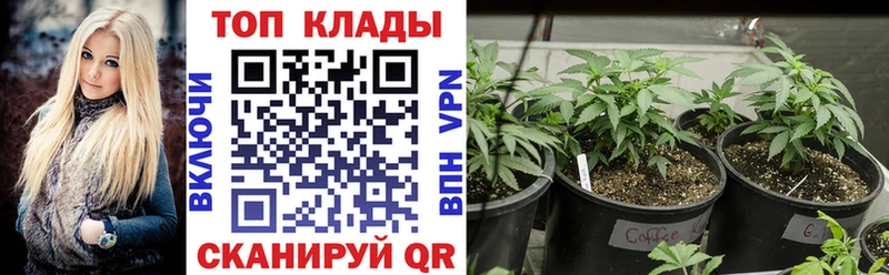 Цена Астрахань ГАШ Канабис kraken рабочий сайт Меф мяу мяу