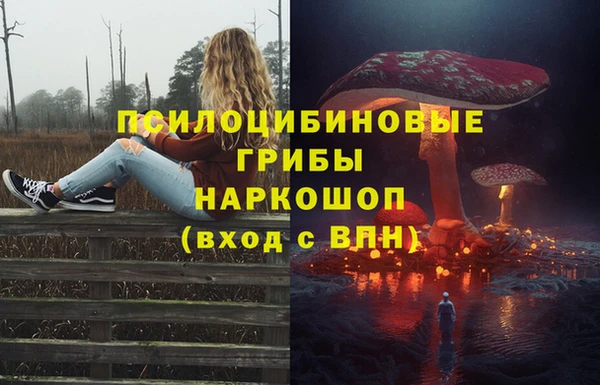 марихуана Абаза