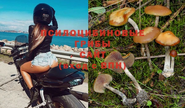 винт Абдулино