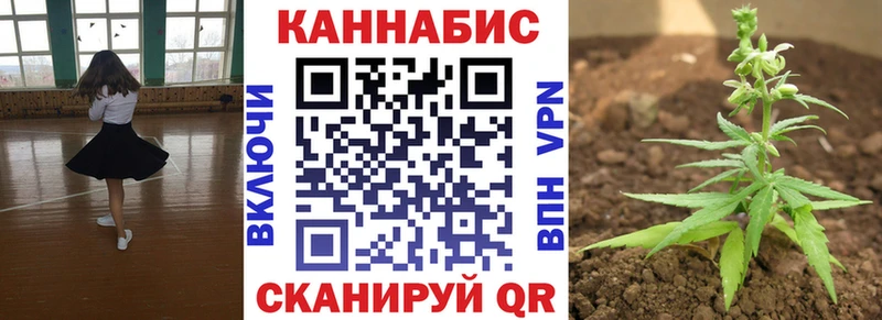 где продают наркотики  Астрахань  Бошки Шишки план 