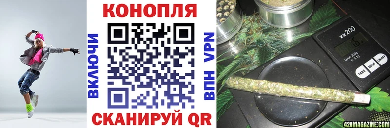 Конопля сатива Астрахань